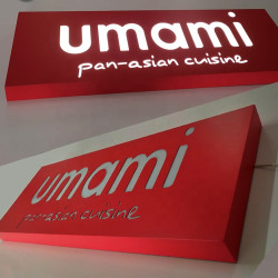 Rectangular indoor LED advertising panels made of stainless steel in various colors