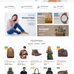 Designing websites, e-stores, and educational platforms in Arabic, English, and Kurdish