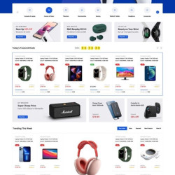 Designing websites, e-stores, and educational platforms in Arabic, English, and Kurdish